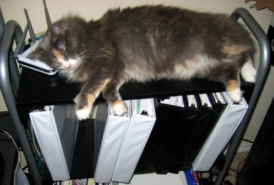 Picture of a cat sitting on a pile of binders.
