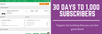 30 Days to 1000 subscribers