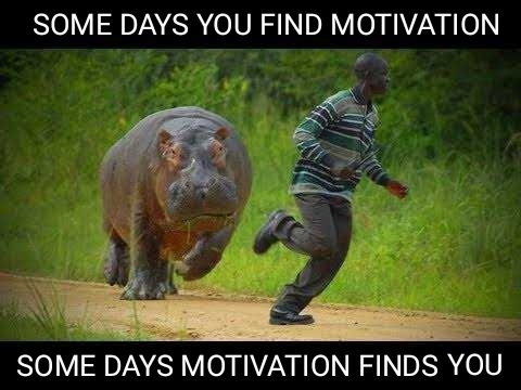 some days you find motivation, some days motivation finds you (man being chased by a hippo)